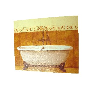 CUADRO TABLA BAÑO BAÑERA MARRON