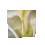 CUADRO PLOTTER PEQUEÑO FLOR AMARILLO