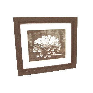 CUADRO MARCO CAPULLO FLOR NEGRO SURTIDO