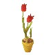 CENTRO MACETA FLORES TULIPANES ROJO