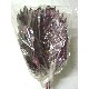 RAMA HOJA SUPERLARGA COLORES SURTIDA 
