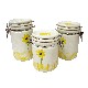 JUEGO 3 BOTES HERMETICOS VICHY MARGARITA AMARILLO