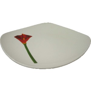BAJOPLATO DONG PORCELANA CALA ROJA