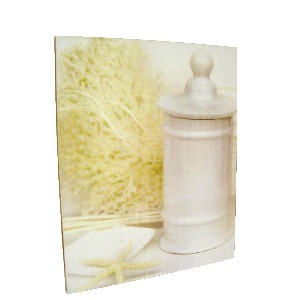 CUADRO TABLA BAÑO BOTE PORCELANA RAMAS