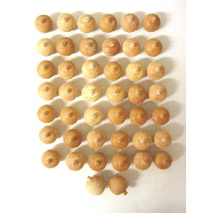 AMBIENTADOR MADERA PERFUMADO MANZANA 