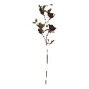 FLOR TELA MAGNOLIA SURTIDA