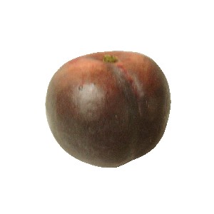 IMITACION FRUTA LATEX CIRUELA