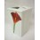 VASO CEPILLOS PLIEGUE CALA ROJA
