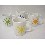 TAZA MUG RECTA 300ML ASTERISCO RECTO SURTIDO