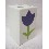 VASO CEPILLOS MING TULIPAN AZUL