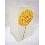 FLORERO CRISTAL MEDIANO DALIA AMARILLA